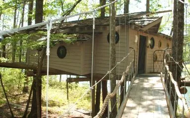 Tree House